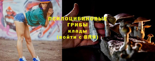 индика Армянск