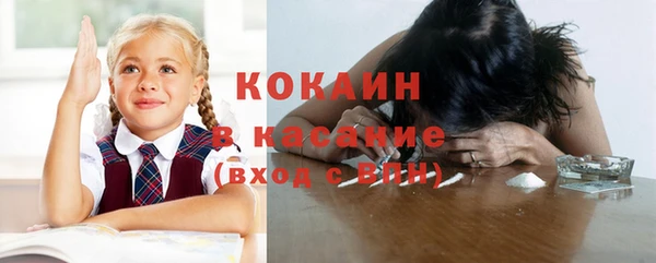 индика Армянск