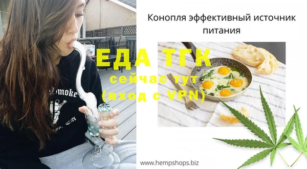 индика Армянск