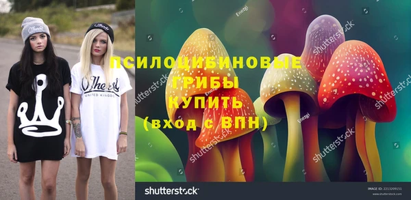 индика Армянск