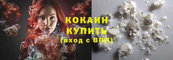 индика Армянск